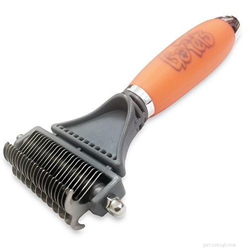 Best Grooming Tools for Bernese Mountain Dogs: 3 Brushes & a Blow Dryer
