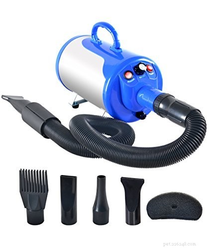 Best Grooming Tools for Bernese Mountain Dogs: 3 Brushes & a Blow Dryer