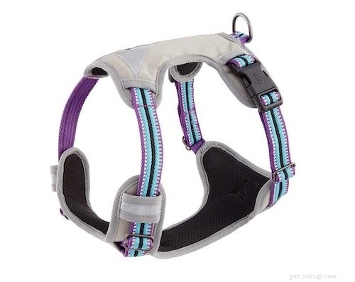 Top 5 Harnesses for Boston Terriers: Comfort, Control, and Safety