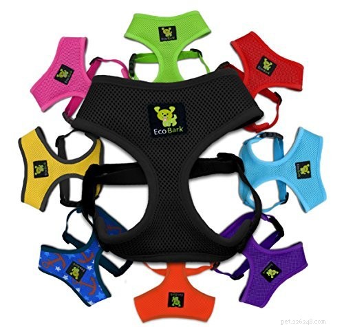 Top 5 Harnesses for Boston Terriers: Comfort, Control, and Safety