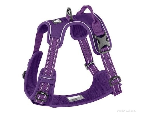 Top 5 Harnesses for Boston Terriers: Comfort, Control, and Safety