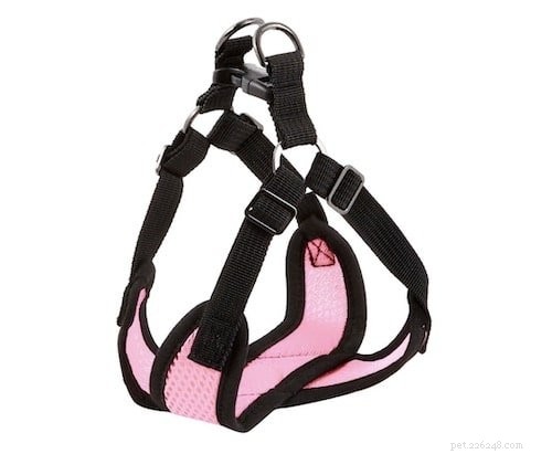 Top 5 Harnesses for Boston Terriers: Comfort, Control, and Safety