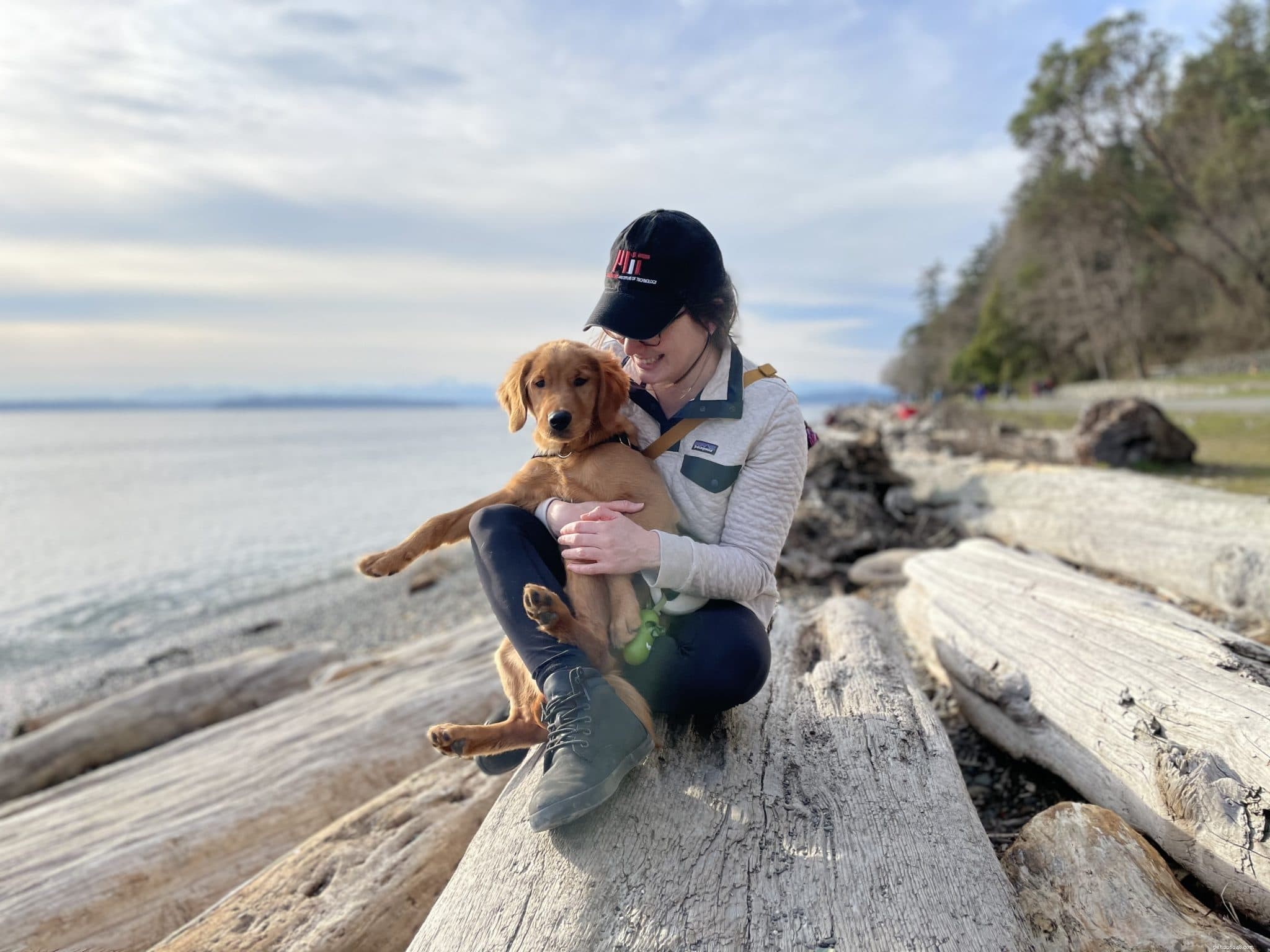 Top 2021 Puppy Breeds: The Hottest Choices for New Dog Parents