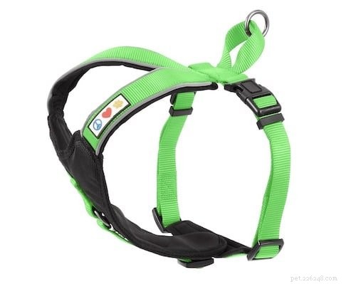 Top 5 Harnesses Every Pug Owner Should Know