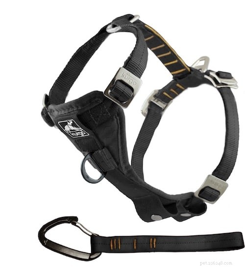Top 5 Harnesses Every Pug Owner Should Know