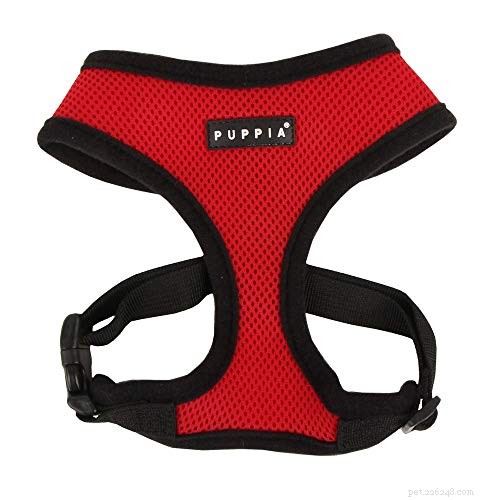Top 5 Harnesses Every Pug Owner Should Know