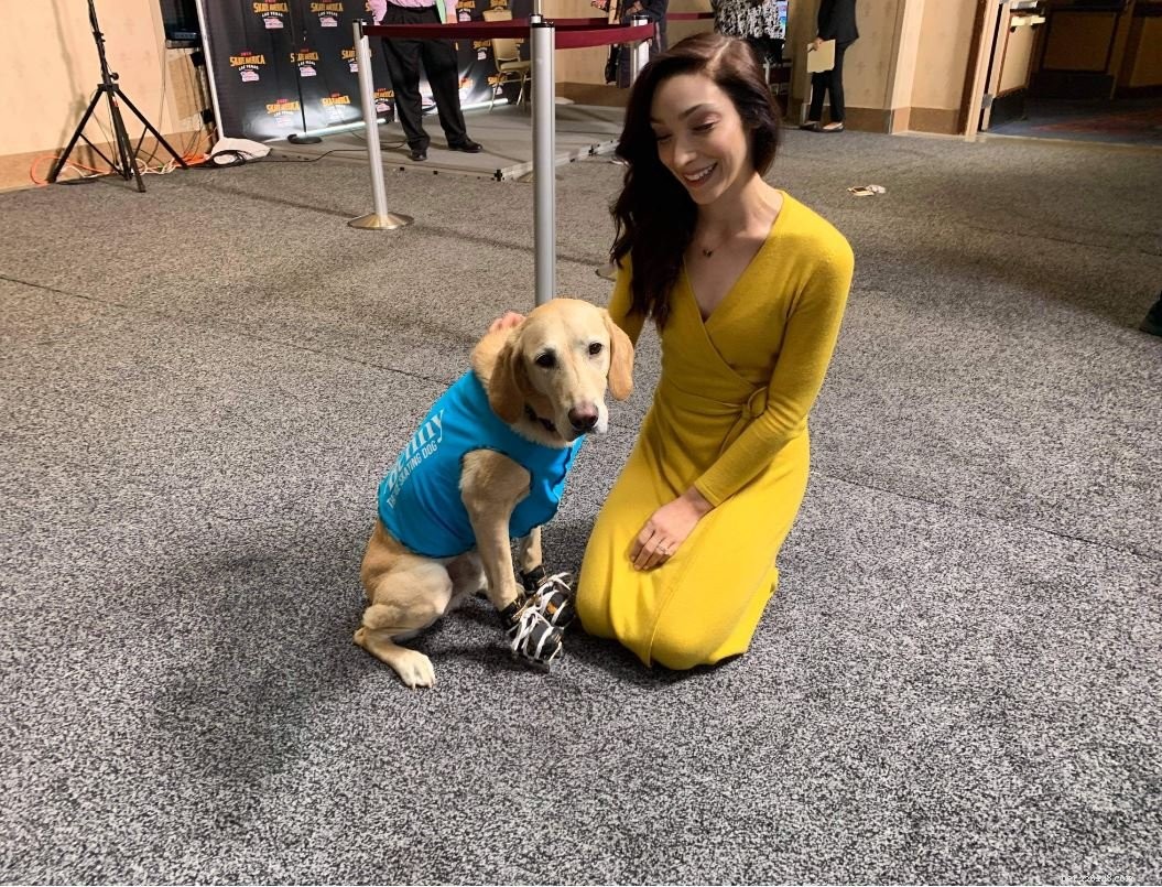 Rescued Labrador Turns Ice Skating Phenomenon, Inspires Fans