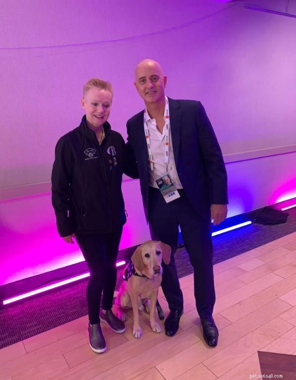 Rescued Labrador Turns Ice Skating Phenomenon, Inspires Fans