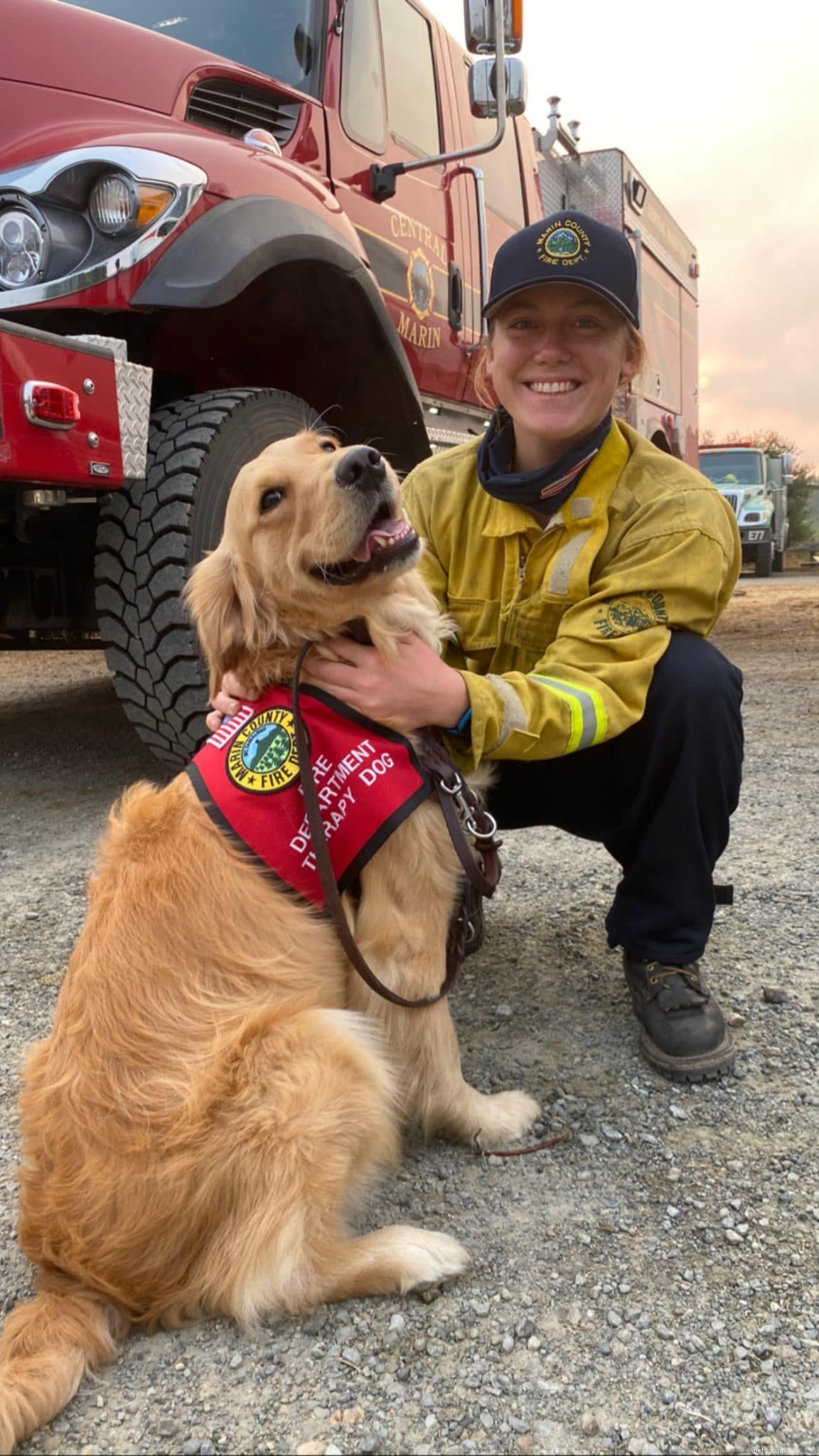 Therapy Dog Kerith Provides Much‑Needed Relief to West Coast Firefighters