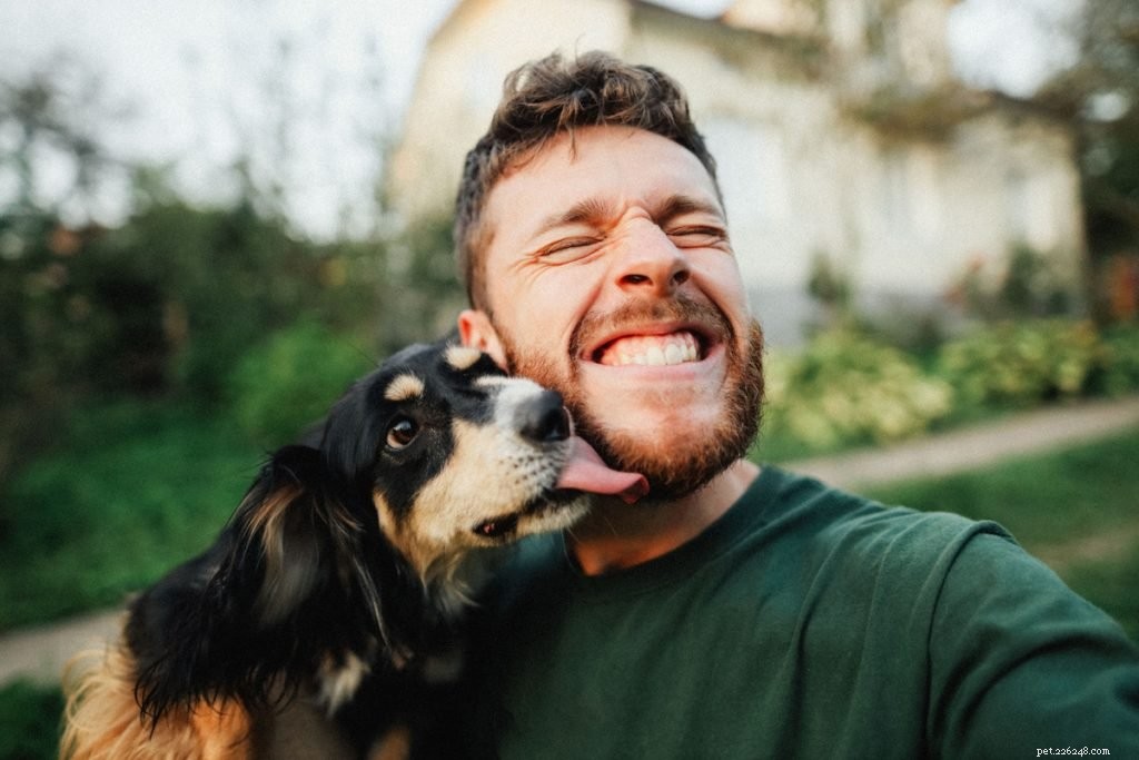 Why Do Dogs Lick? Vet-Backed Insights into Their Licking Behavior