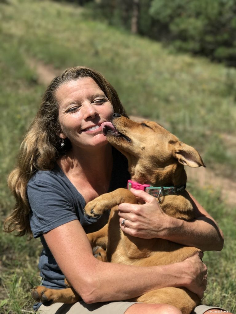 Science Confirms: Dogs Possess a Genuine Sense of Humor