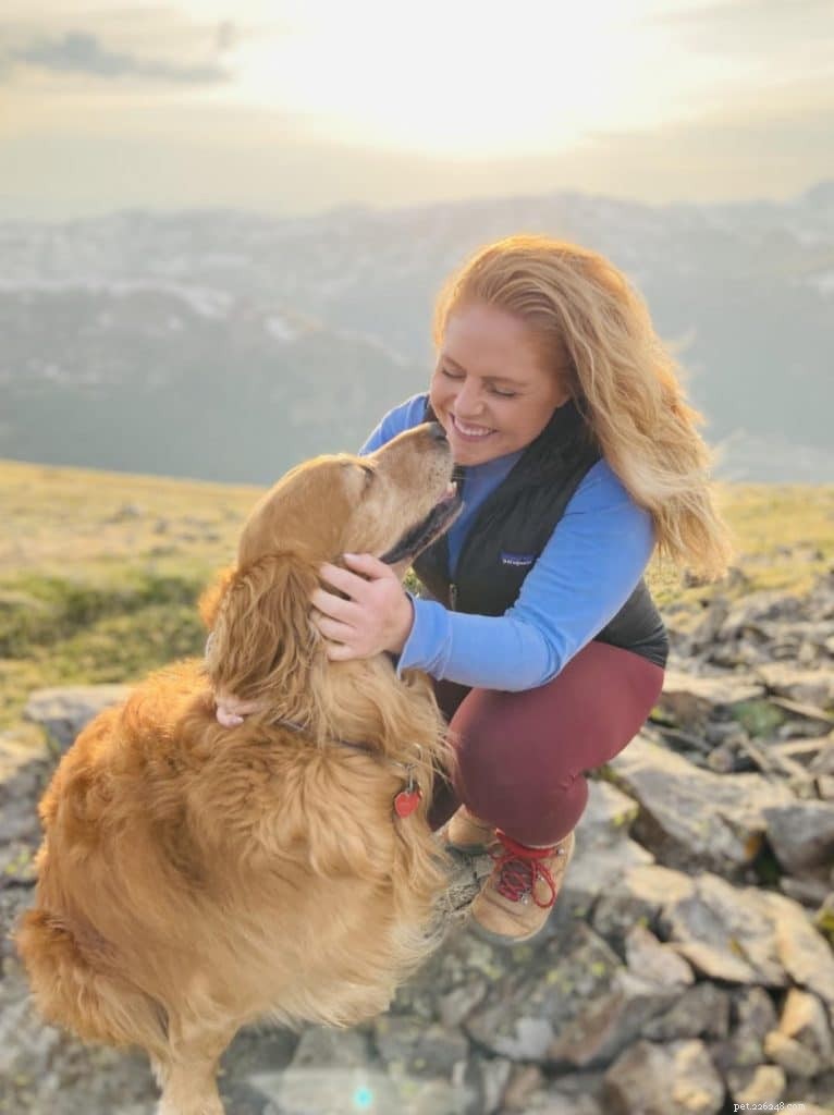 Harvey the Golden Retriever: The Inspiring Dog Who Brings Positivity to Denver Yoga Classes