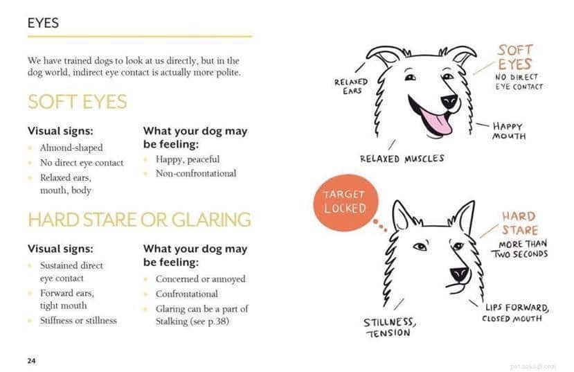 Unlock Your Dog’s Inner World: New Book Reveals True Feelings Through Body Language
