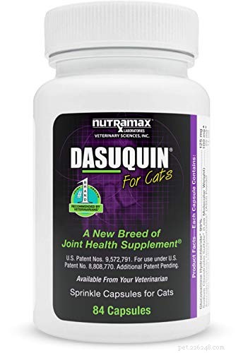 Cosequin vs. Dasuquin: Which Joint Supplement Works Best for Pets?
