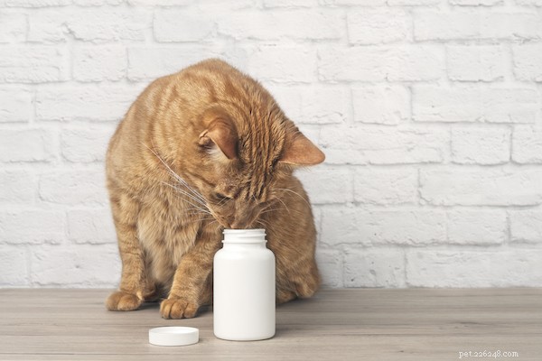 Cosequin vs. Dasuquin: Which Joint Supplement Works Best for Pets?