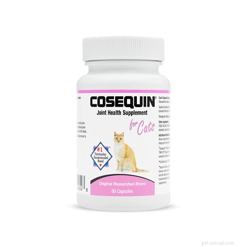Cosequin vs. Dasuquin: Which Joint Supplement Works Best for Pets?