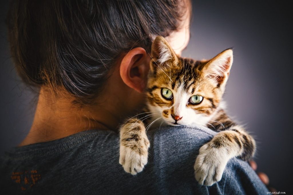 Will My Cat Eat Me If I Pass Away? Understanding Animal Behavior and Pet Safety