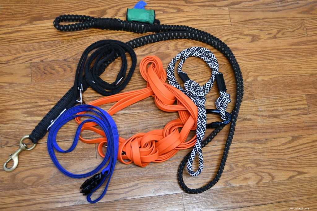 Flat Leashes Explained: A Comprehensive Guide to Components and Proper Use