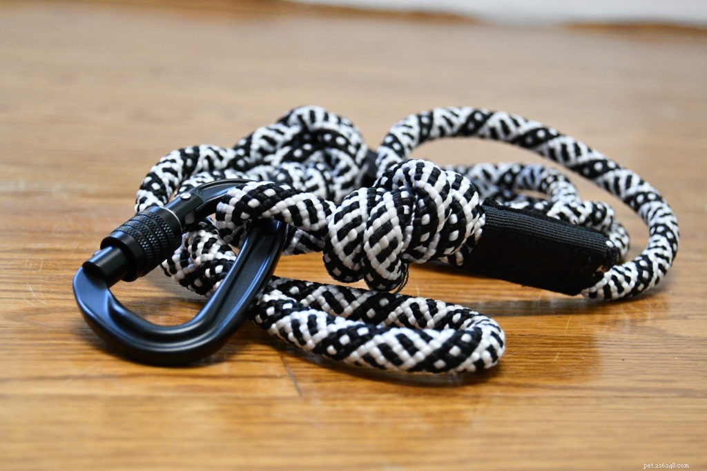 Flat Leashes Explained: A Comprehensive Guide to Components and Proper Use