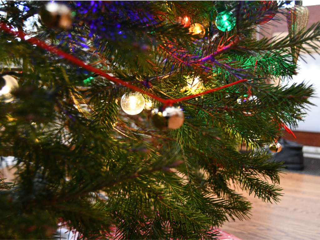 Enjoy a Stress‑Free Christmas with Your Dog: 4 Proven Tips