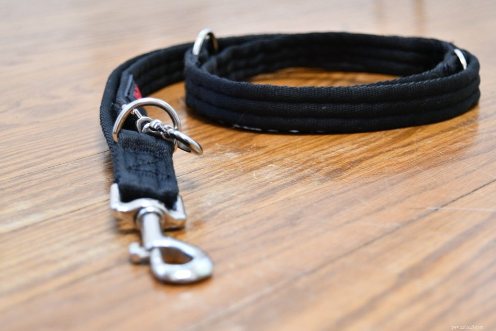 Flat Leashes Explained: A Comprehensive Guide to Components and Proper Use