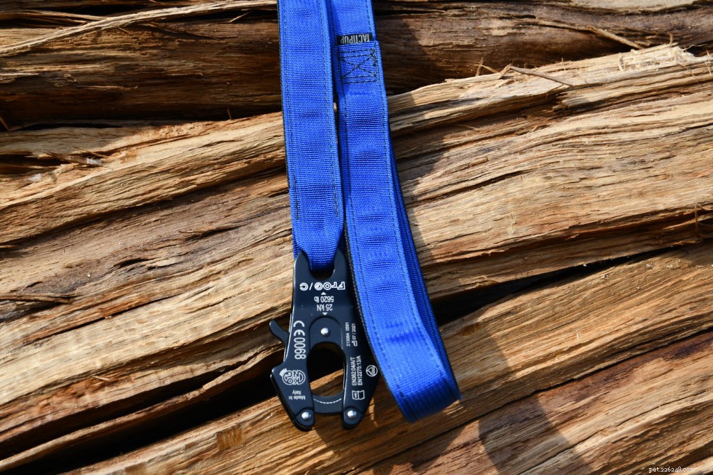 Flat Leashes Explained: A Comprehensive Guide to Components and Proper Use