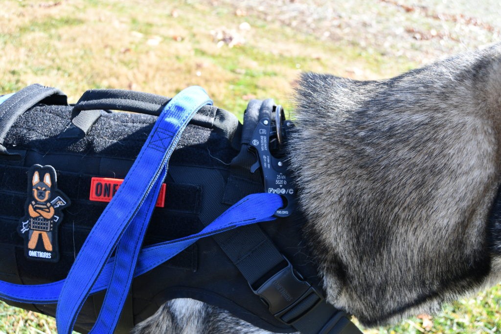 Tactipup Extreme Tactical Leash Review: Unmatched Strength for Large, Reactive Dogs