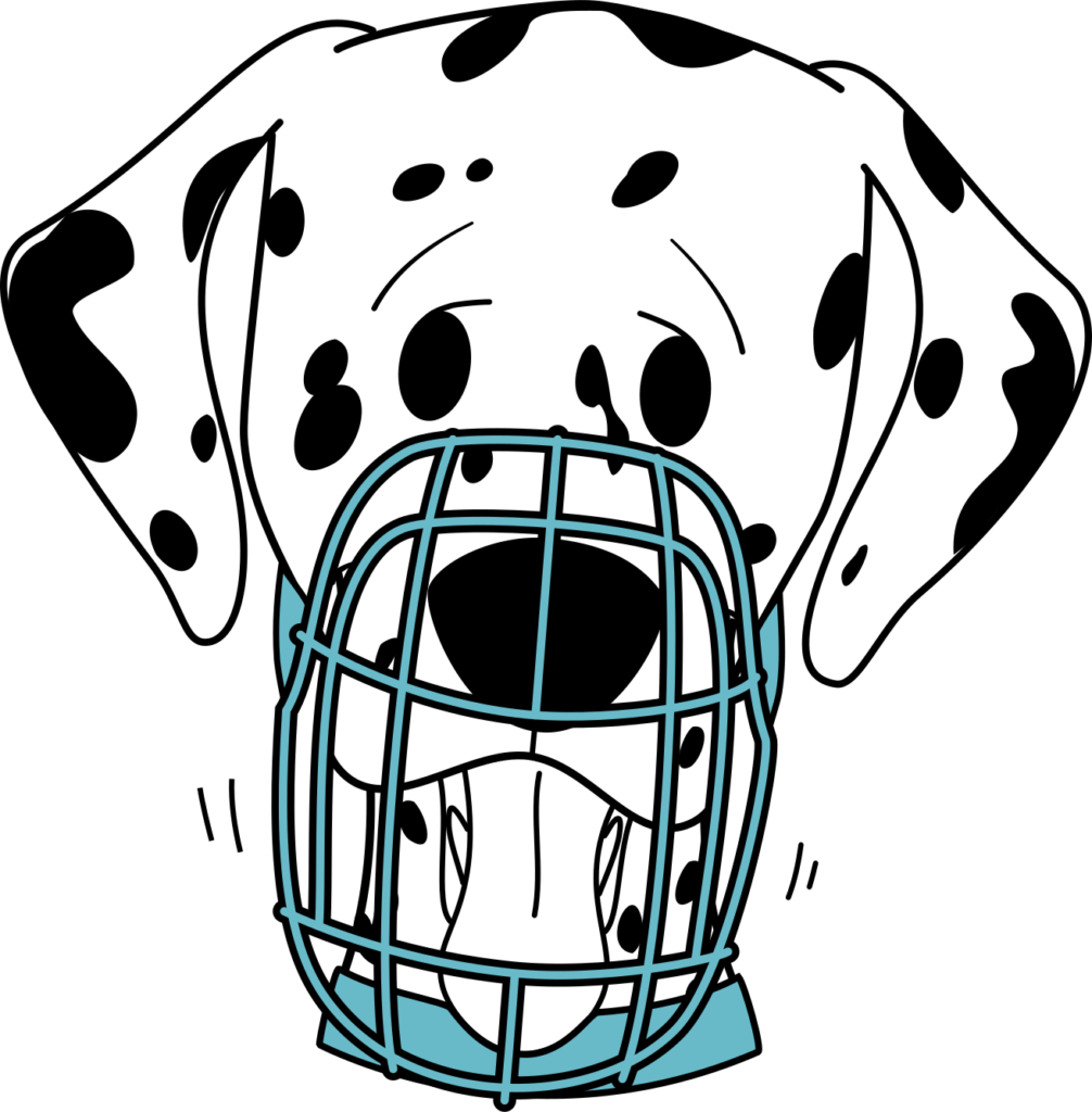 How to Properly Fit a Dog Muzzle: Expert Tips & Safety Guide