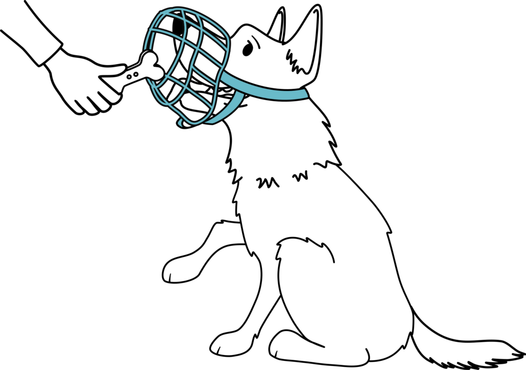 How to Properly Fit a Dog Muzzle: Expert Tips & Safety Guide