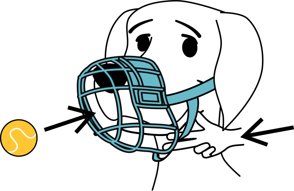 How to Properly Fit a Dog Muzzle: Expert Tips & Safety Guide