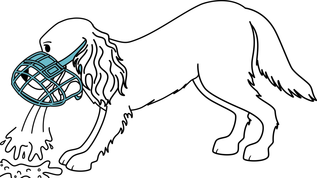 How to Properly Fit a Dog Muzzle: Expert Tips & Safety Guide