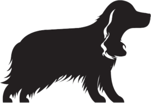 How Much Exercise Does Your Puppy Need? A Trusted Guide to Healthy Growth