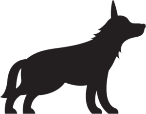 How Much Exercise Does Your Puppy Need? A Trusted Guide to Healthy Growth