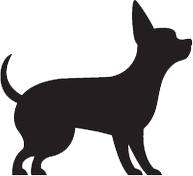 How Much Exercise Does Your Puppy Need? A Trusted Guide to Healthy Growth