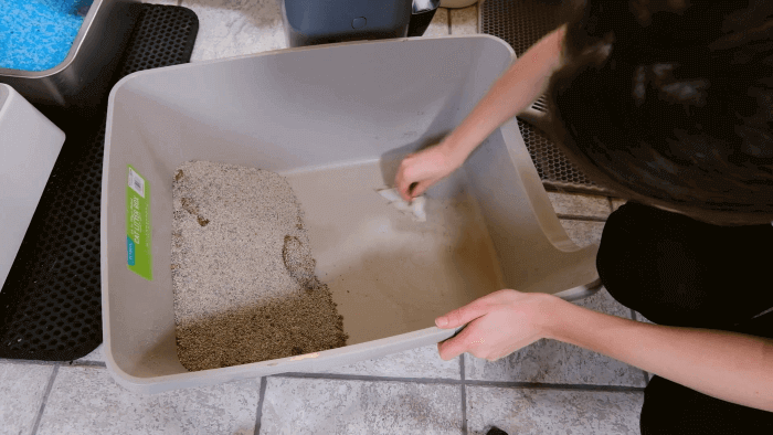 Expert Guide: Clean Your Cat’s Litter Box Like a Pro (Behaviorist Approved)