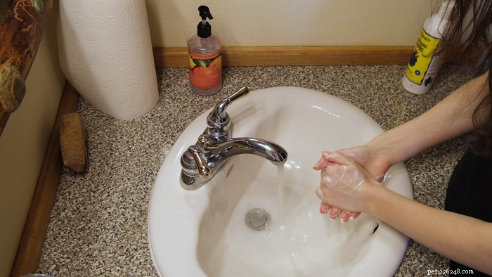 Expert Guide: Clean Your Cat’s Litter Box Like a Pro (Behaviorist Approved)