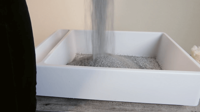 Expert Guide: Clean Your Cat’s Litter Box Like a Pro (Behaviorist Approved)