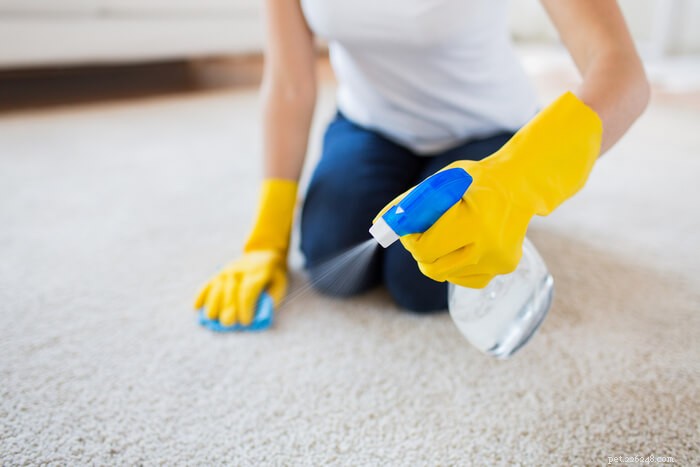 Expert Guide: Clean Your Cat’s Litter Box Like a Pro (Behaviorist Approved)