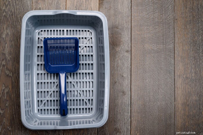 Expert Guide: Clean Your Cat’s Litter Box Like a Pro (Behaviorist Approved)