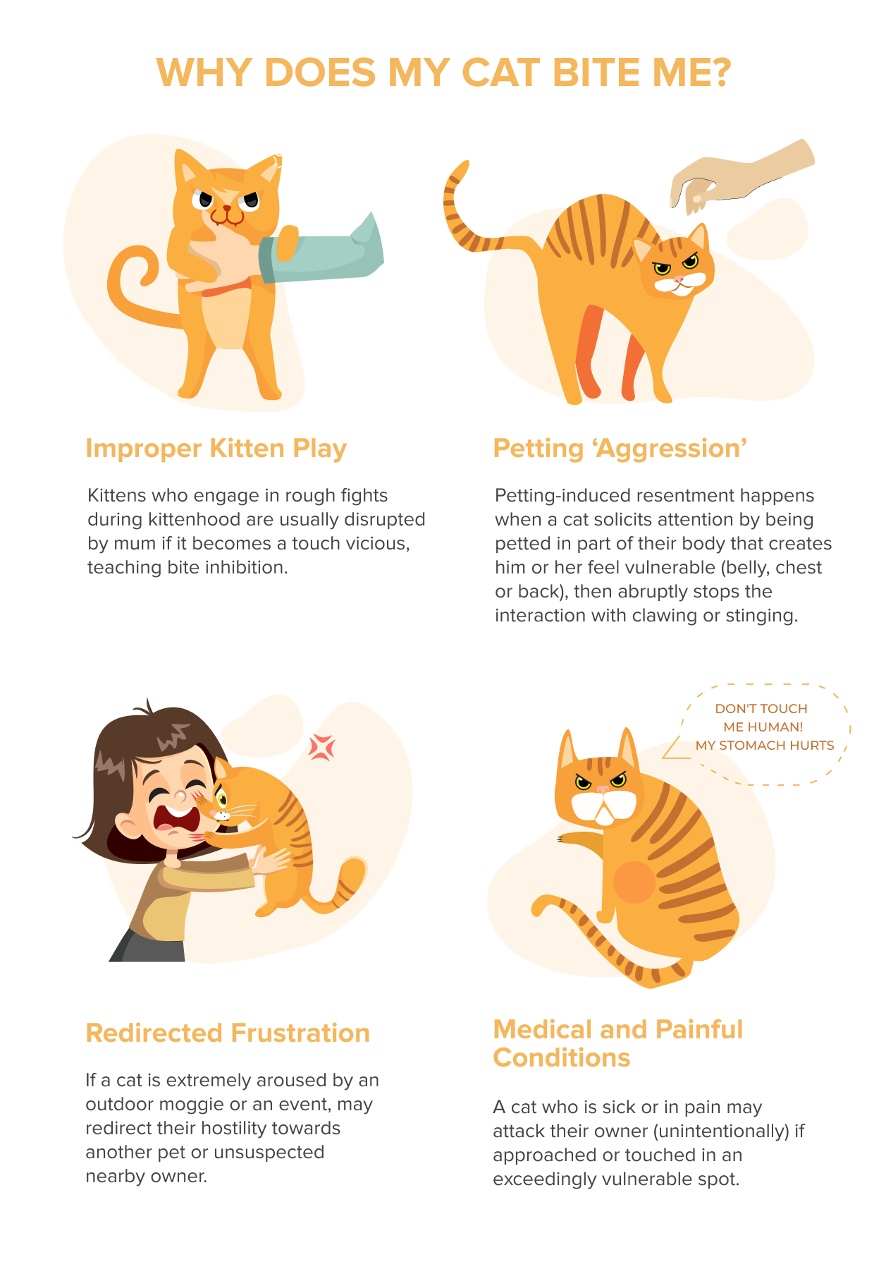 Understanding Cat Biting: Causes, Prevention, and Effective Solutions