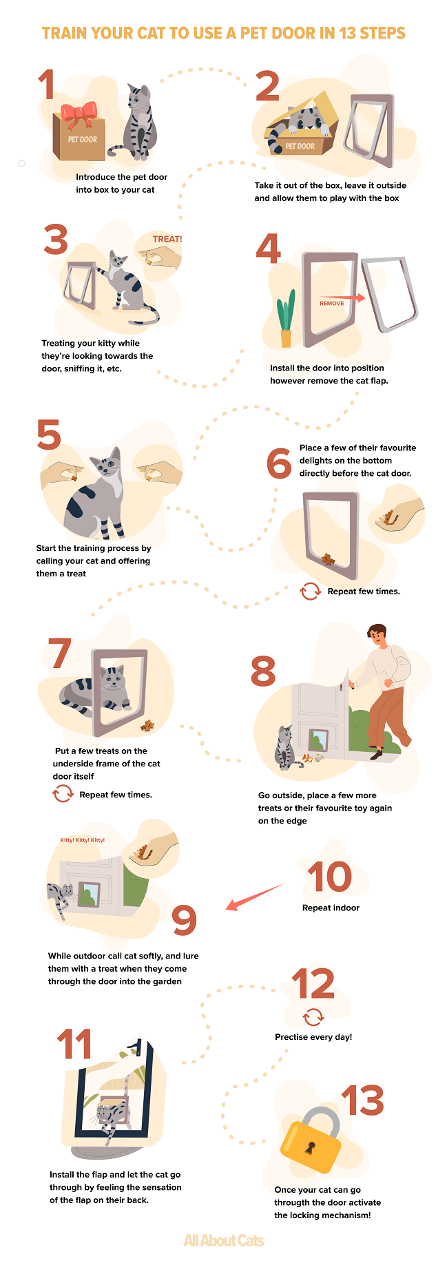 Teach Your Cat to Use a Pet Door: Step‑by‑Step Guide