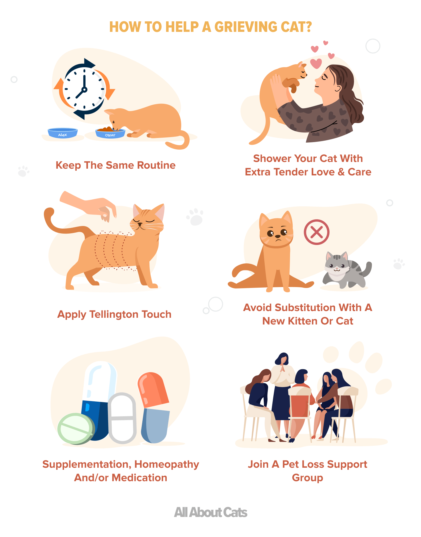 Understanding Cat Grief: How to Support a Cat in Loss