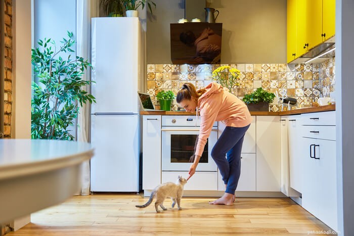 How to Keep Cats Off Your Kitchen Counter: 5 Proven Strategies