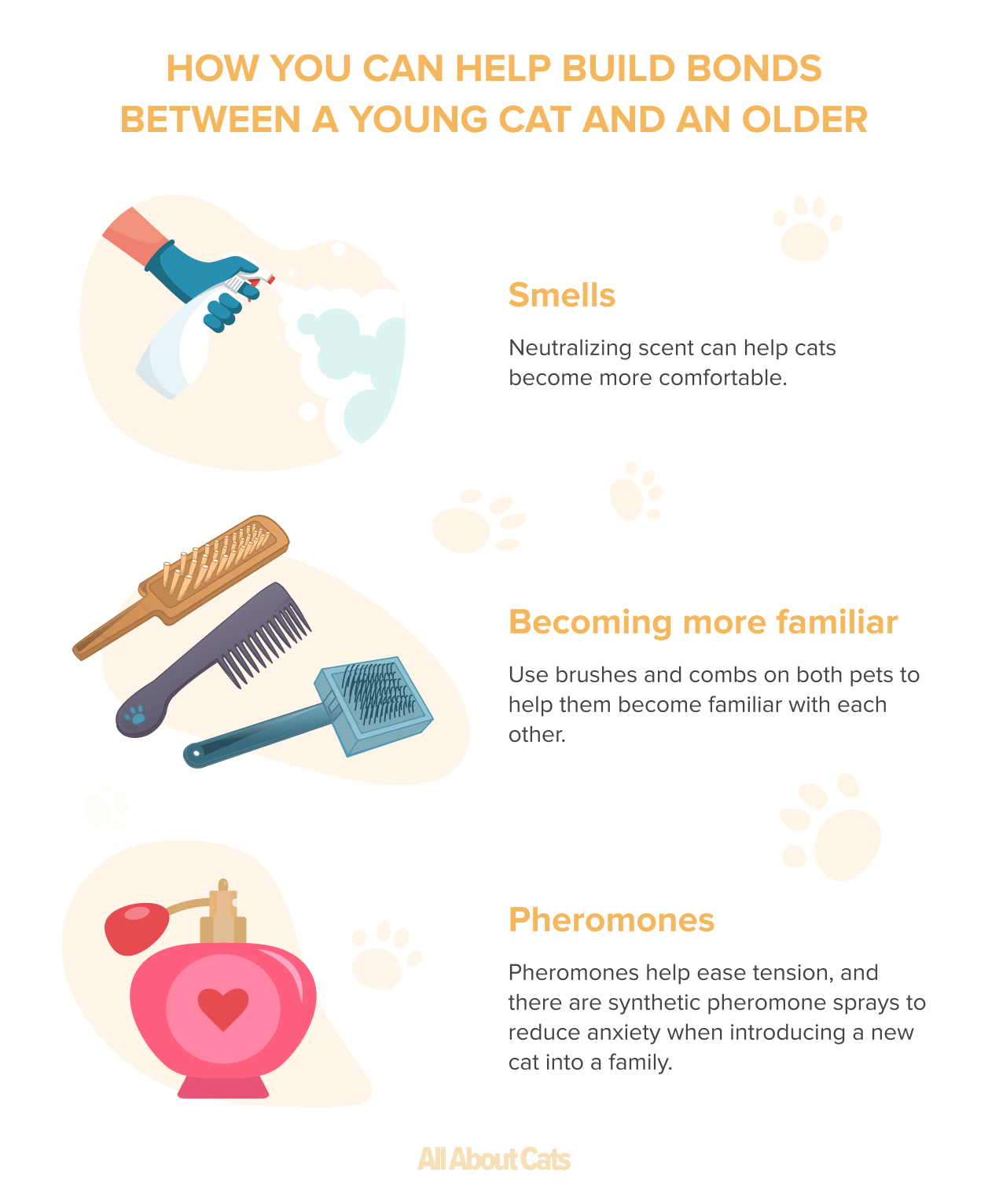 Why Cats Groom Each Other: Insights into Feline Social Bonding