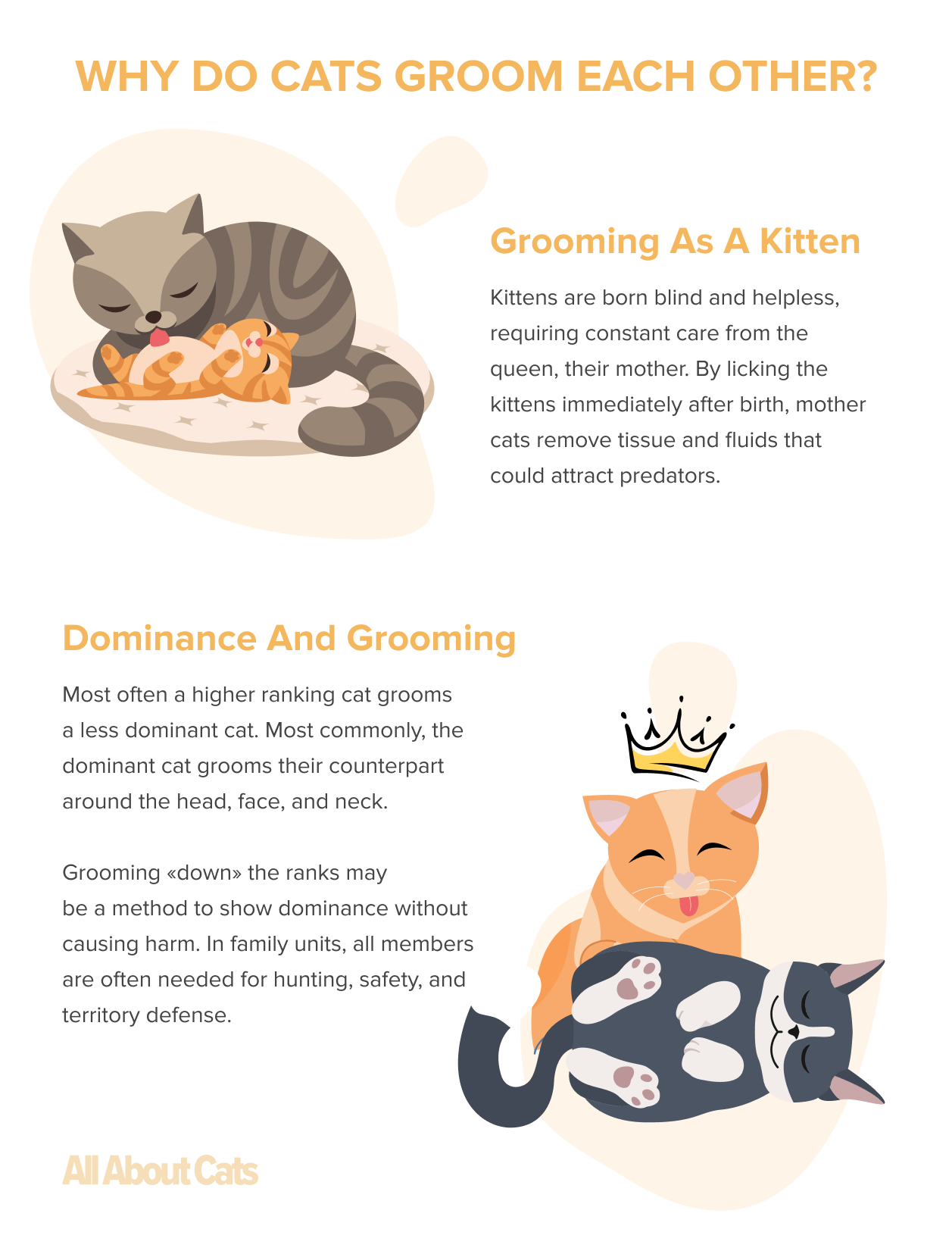 Why Cats Groom Each Other: Insights into Feline Social Bonding