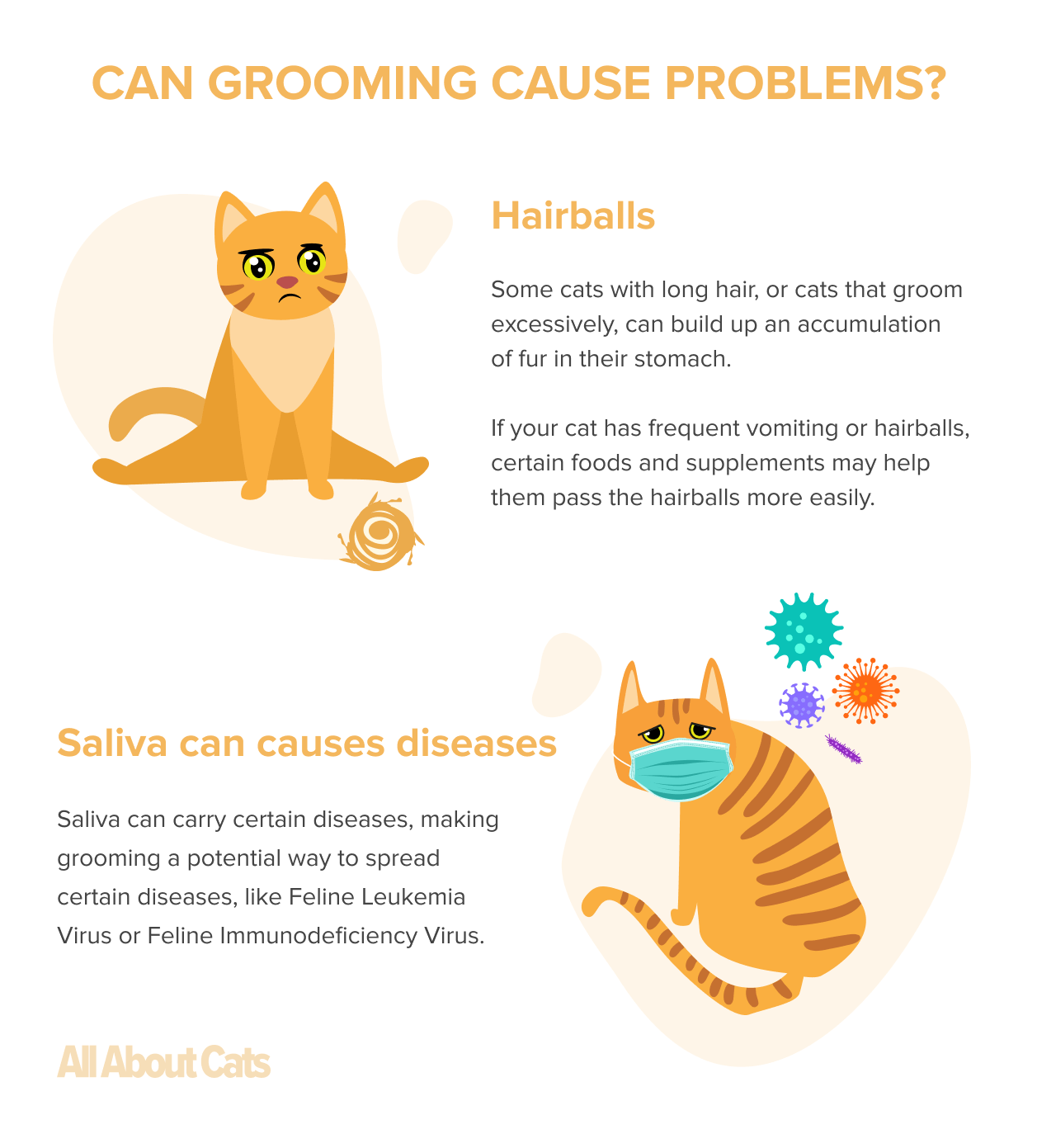 Why Cats Groom Each Other: Insights into Feline Social Bonding