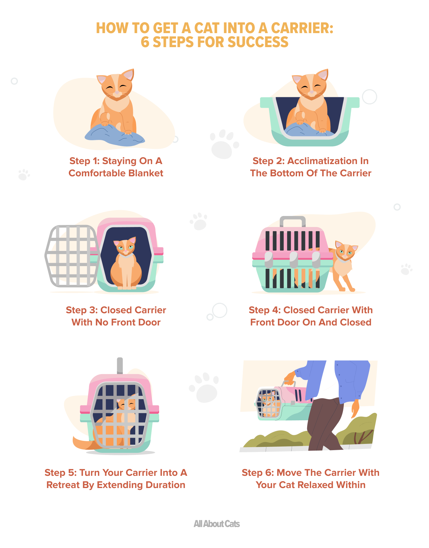 Easy Ways to Get Your Cat Comfortable in a Carrier