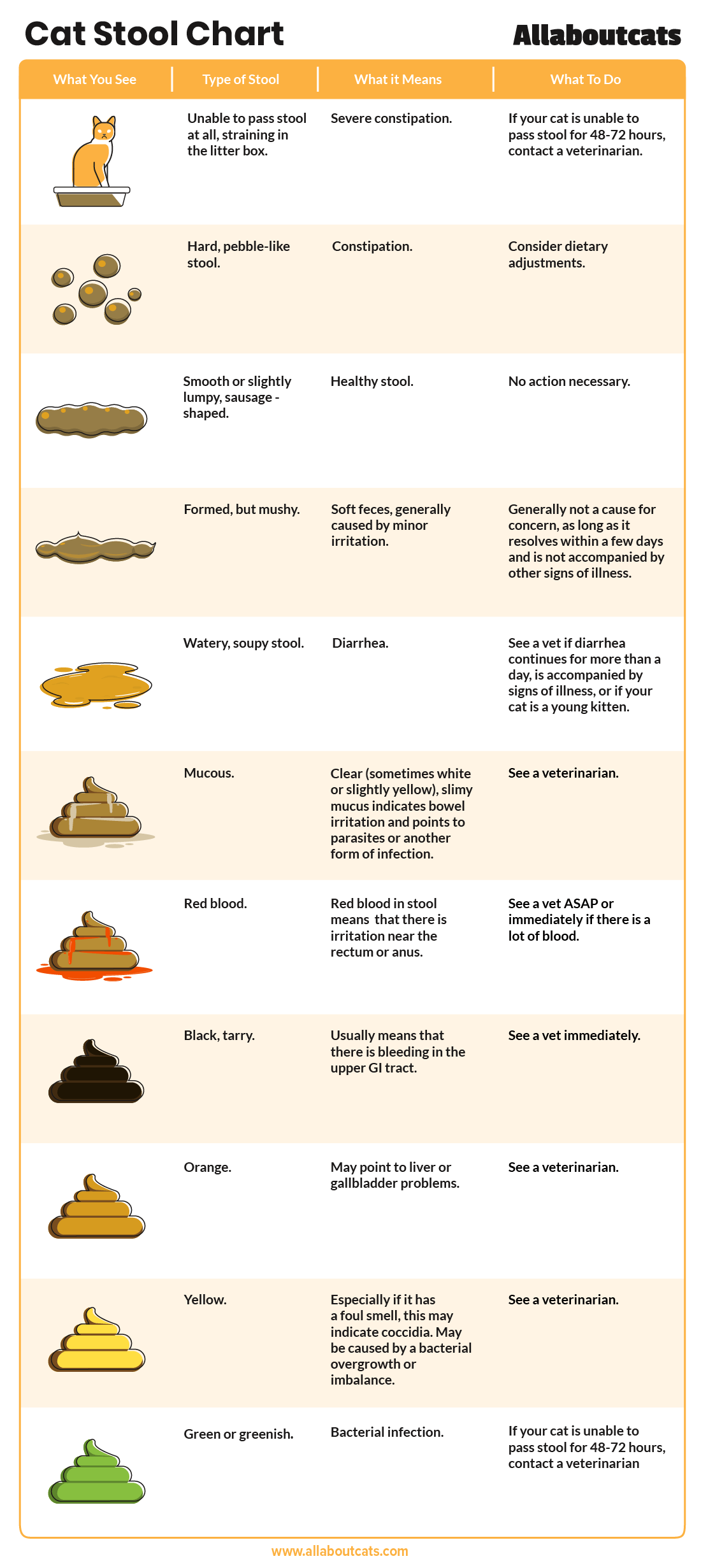 Veterinary‑Approved Cat Stool Chart: How to Interpret Your Cat’s Digestive Health