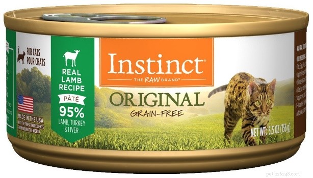 Top-Rated Cat Food for Managing Hyperthyroidism: Safe, Nutritious Options