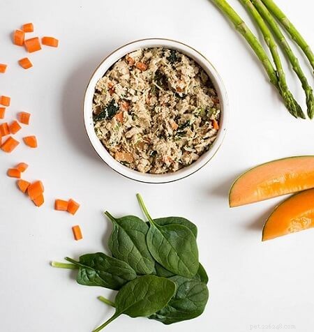 Top-Rated Cat Food for Managing Hyperthyroidism: Safe, Nutritious Options